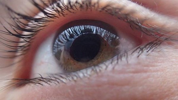 Les meilleures options d'accessibilité pour les personnes atteintes d'un handicap visuel